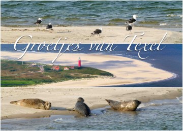 0f0f85ca df3d 4474 8e21 b2e086c4f0bb