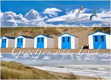 0f815d03 2a75 4339 a81f c817f10f743a