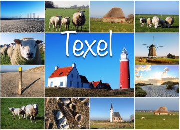 10e13ae4 b8ca 499f b34a b4b132170bbb