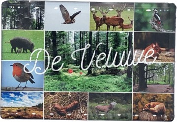 121405ef 171a 499f 9080 c226f0676777