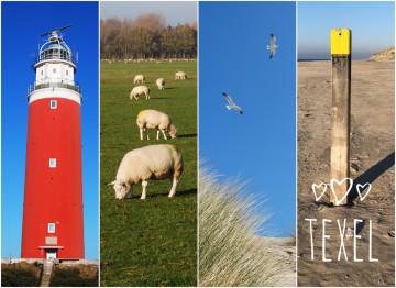 22450eea 7e4d 4795 a281 ed8b4d73a1fc