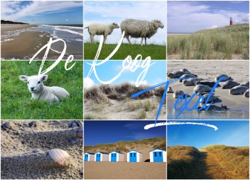 23f1d284 f770 4bf9 b3b2 669071e29e14