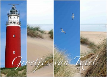 318afdda ca19 493c abf4 135af9f6af96