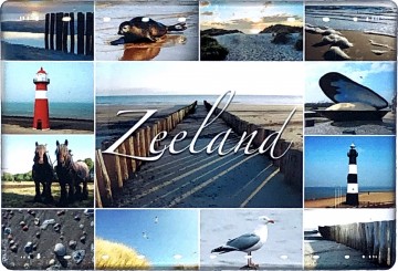 55427feb a67a 4cb4 a5d8 57bacbce4579