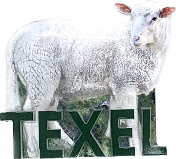 5d481df0 9b1e 485c 87a3 f0a94dfa33e2