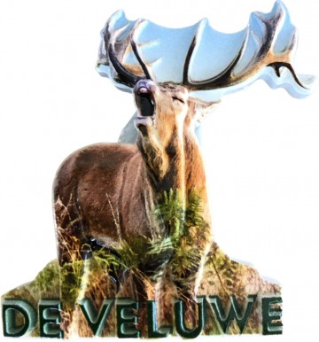 5e528c40 31c8 4115 b20e cd87bdf8642f