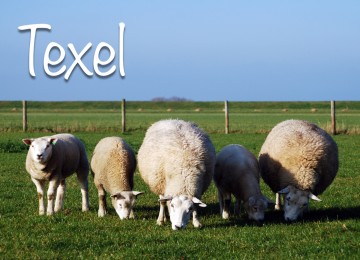 78a1de82 589a 4208 9bf7 6d64e6fd70eb