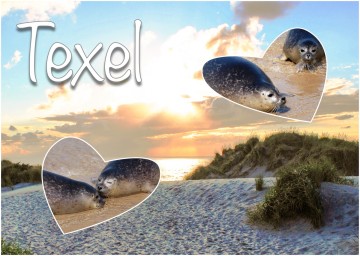 8e3386dd 4efe 45a8 bfce 06d3d1d4c6df