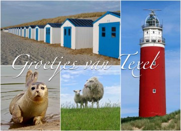 9311460a 7647 4a9e b0cf 9cbc35745c7b