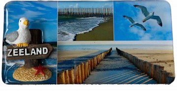 Abcb8d09 362a 49c6 b29c 4814db2caa80