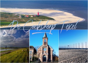 B1f81f27 6781 48a0 aff2 4b364d282a2d