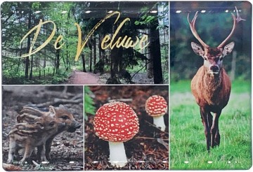 C680783d 1355 4c70 83e8 b6628b7097d8