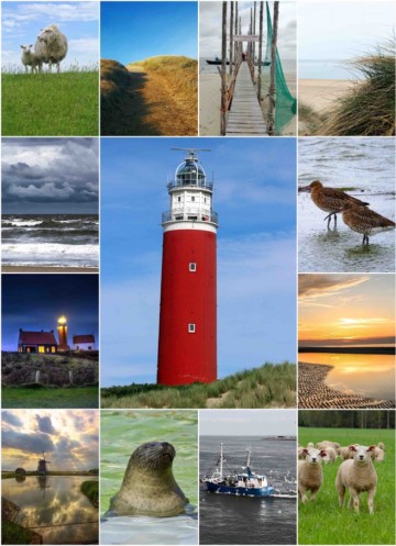 Ca190e7c 5ec3 4ff8 bc90 fffa65625254