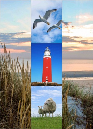 Ee5a3f74 715c 4d9f 8870 31dee2c03f65