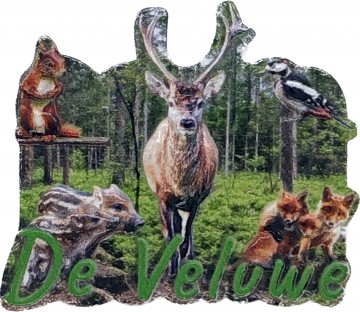 F1175172 8d21 4c3e bd8a 836c43b7754d