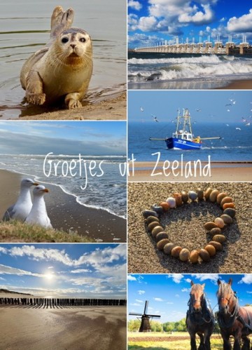 Zeeland 63