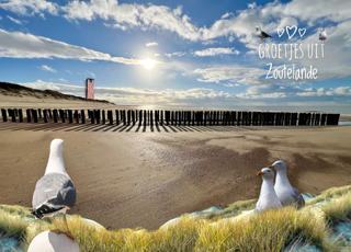 Zoutelande 41