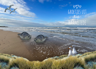 Ansicht Burgh-Haamstede 5