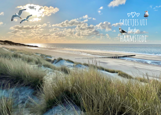 Ansicht Burgh-Haamstede 8