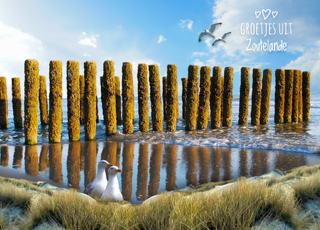 Zoutelande 38