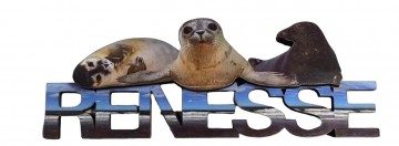 Photoroom20230710204759