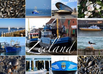 Zeeland 08