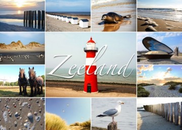 Zeeland 31