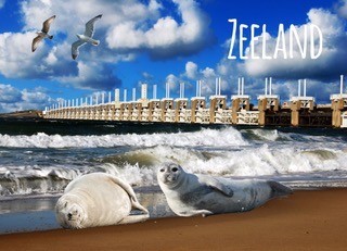 Zeeland 40